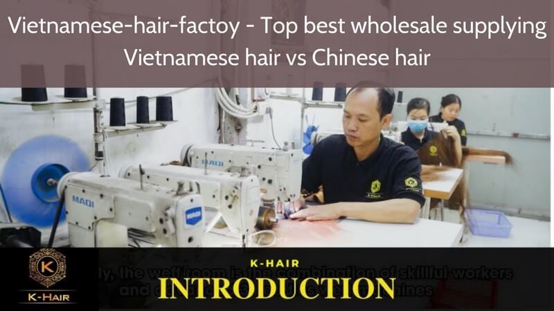 Vietnamese-Hair-vs-Chinese-Hair-Best-Detailed-Comparision_2