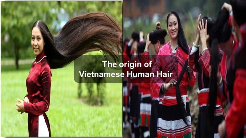 Vietnamese human Hair 2