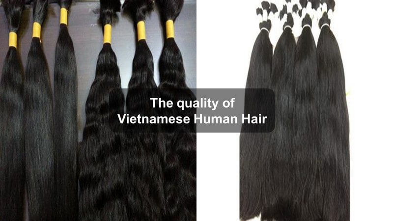 Vietnamese human Hair 5