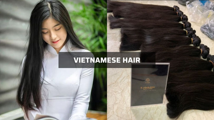 Vietnamese hair origin