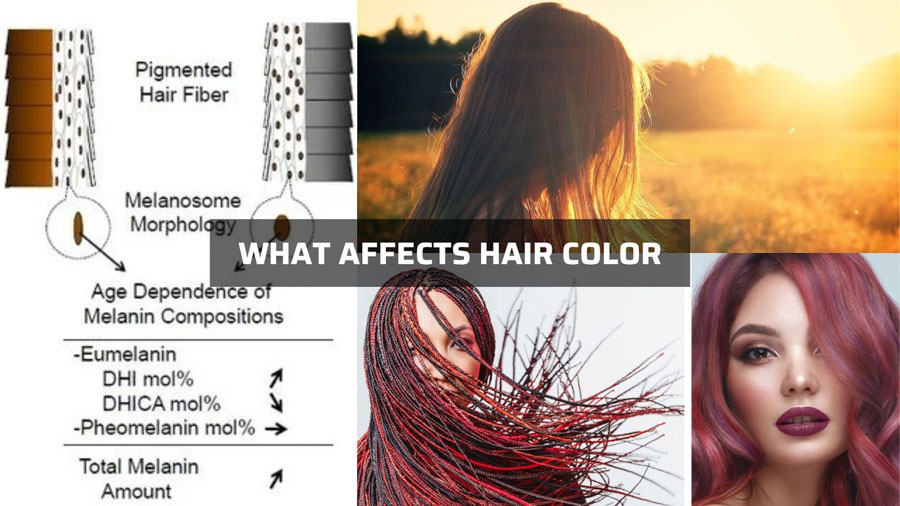 What affects human hair color?