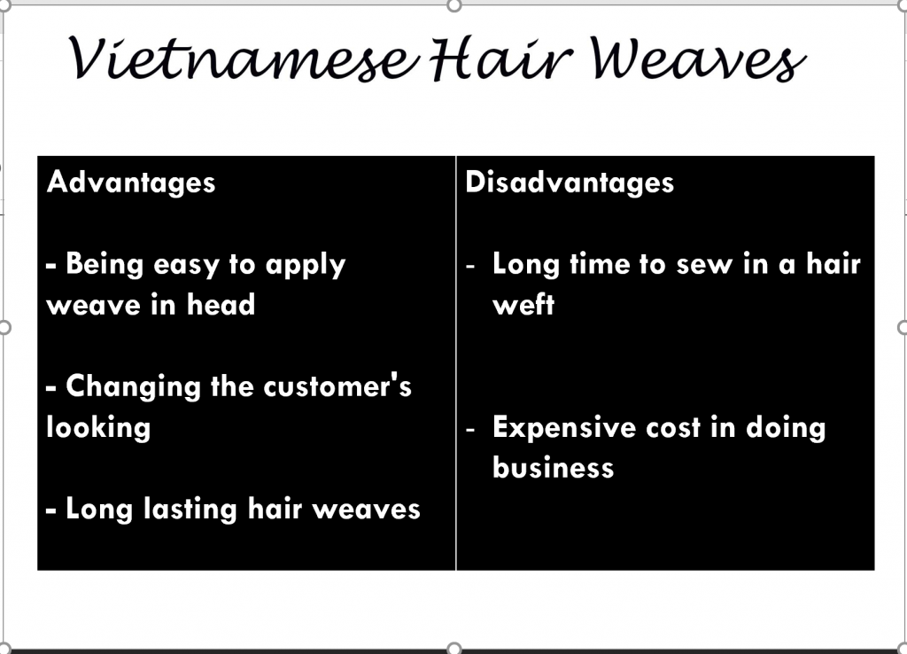 Vietnam hair weft 1