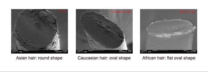 caucasian-hair