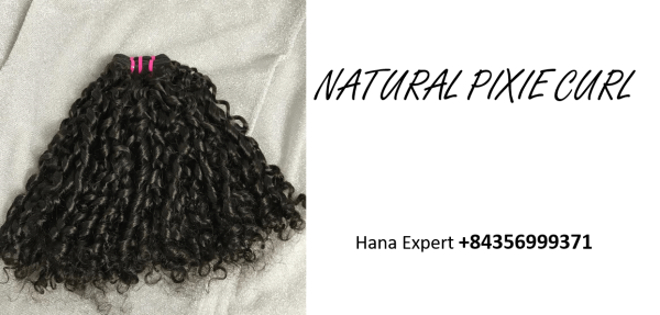 Natural-black-pixie-curl-hair