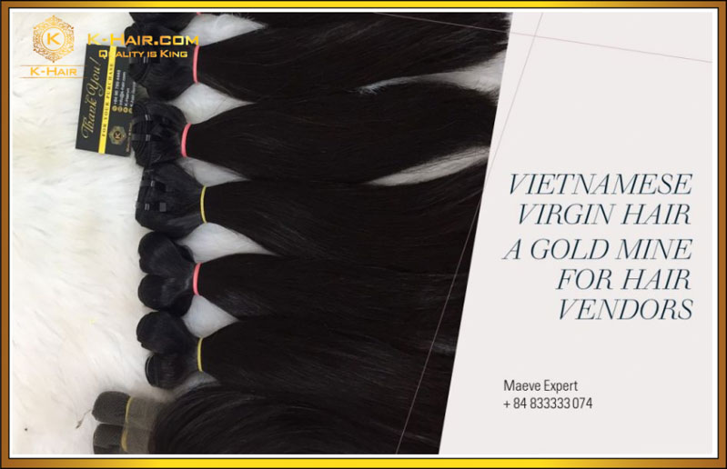 Thumnail Vietnamese virgin hair a gold mine