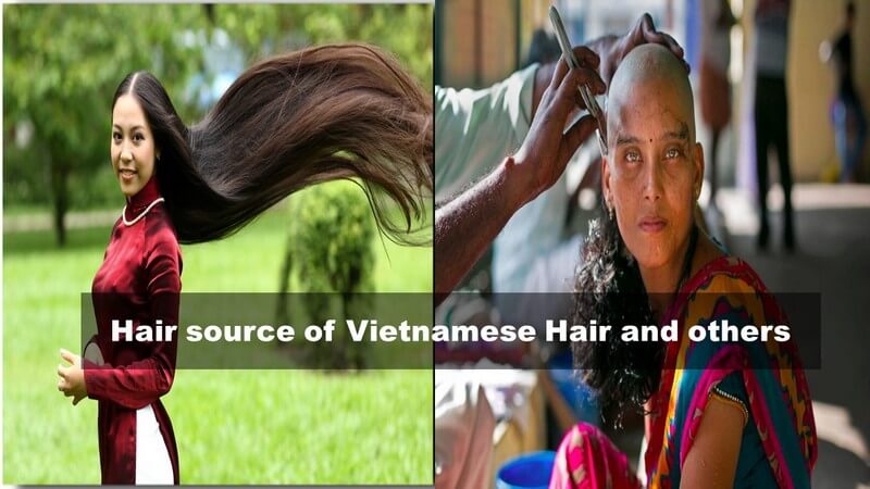 vietnamese hair 7