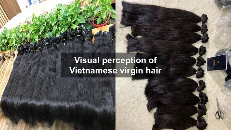 Perception of Vietnamese virgin hair