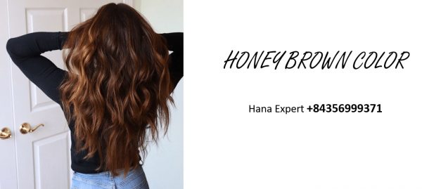 wig-and-hair-extension-honey-brown-color