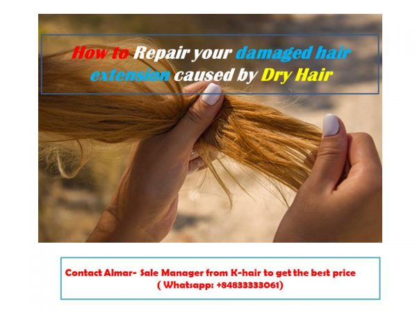 How to Repair your damaged hair extension caused by Dry Hair