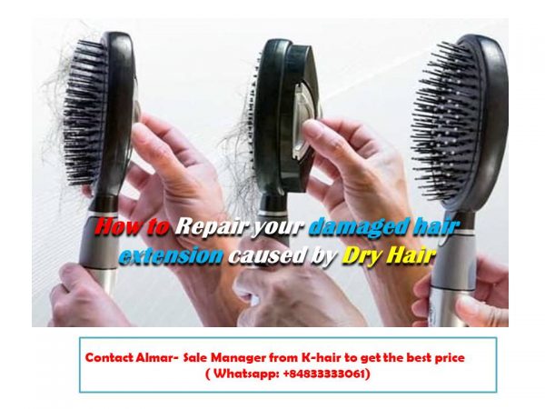 How to Repair your damaged hair extension caused by Shedding Hair