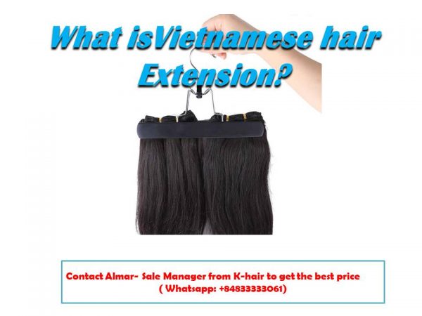 What is Vietnamese hair extension