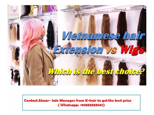 Which is the best choice between Vietnamese hair extension vs Wigs