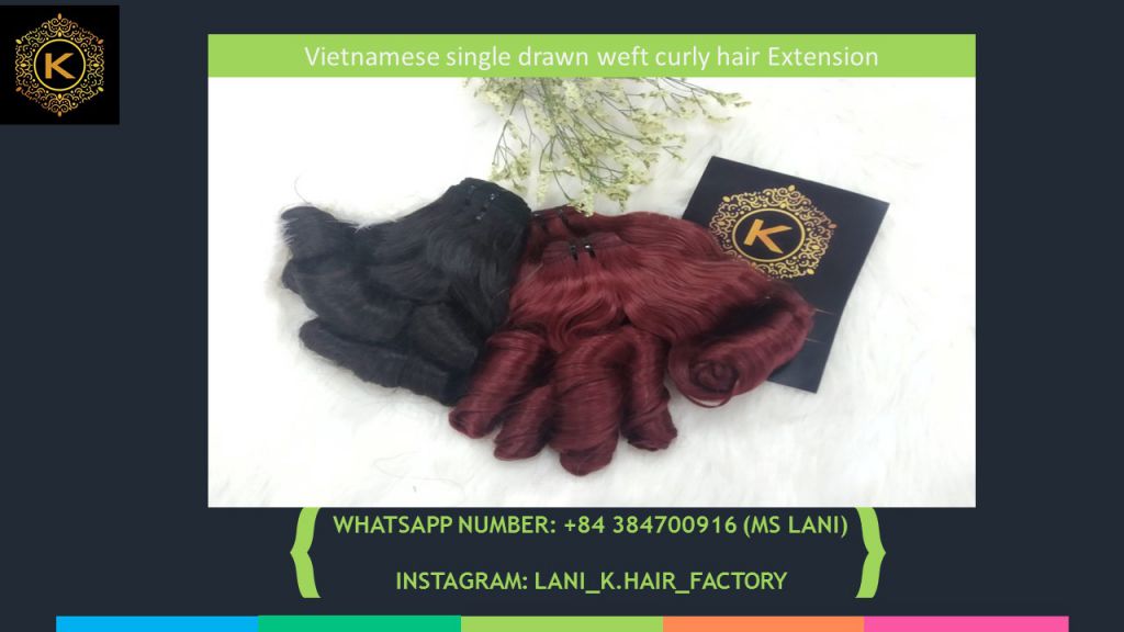 Vietnamese single drawn weft curly hair 2