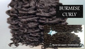 vietnamese-burmese-curly-weft-hair