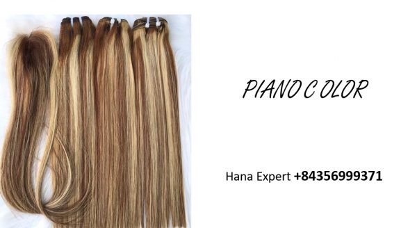 piano-Vietnamese-Super-Double-drawn-weft-colour-hair