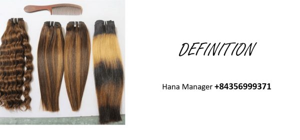  vietnamese-raw-remy-hair-extensions-definition