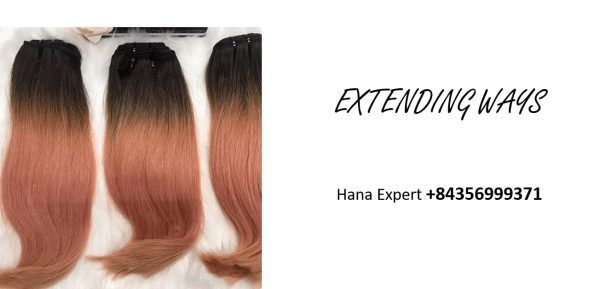 vietnamese-raw-remy-hair-extensions-extending-ways