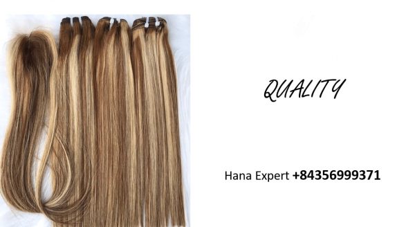 vietnamese-raw-remy-hair-extensions-quality
