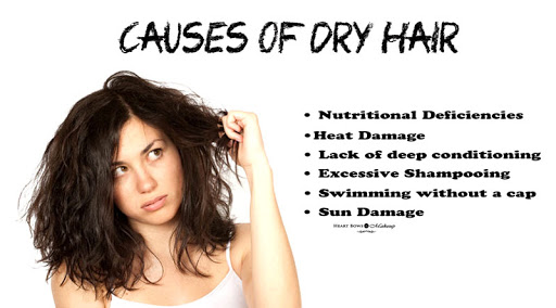 Why Your Hair Is Dry And Why Should You Care For Dry Hair