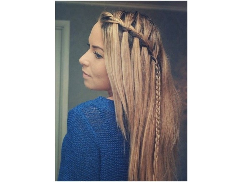 Braids. - Charming Hairstyles For Straight Hair.