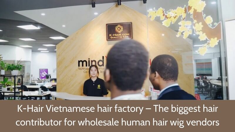 Wholesale-Human-Hair-Wig-Vendors-3