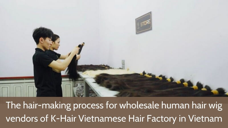 Wholesale-Human-Hair-Wig-Vendors-4