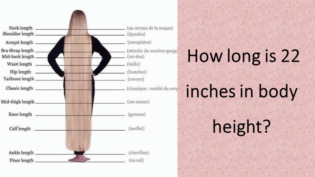 How-long-are 22-inches-in-body-height