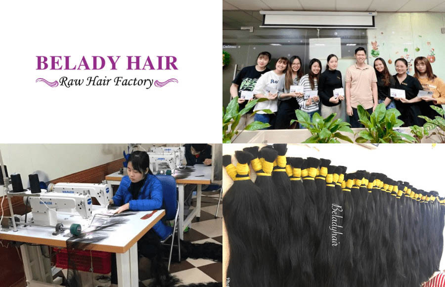 Belady Hair – Vietnamese wholesale hair vendor