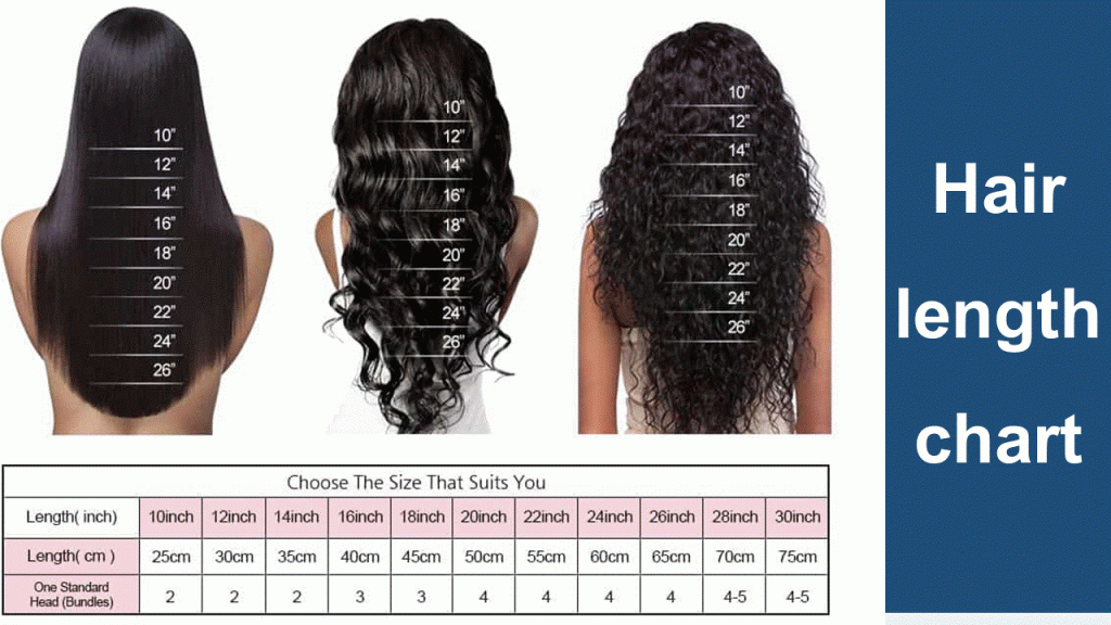 how-long-is-14-inch-sraight-hair-in-the-standard-hair-length-chart