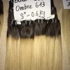 H12 Ombre 613 Blond 1