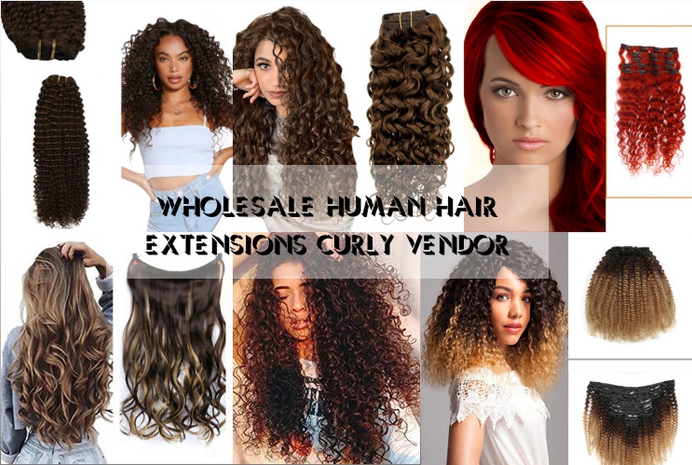 Human Hair Extensions Curly 6
