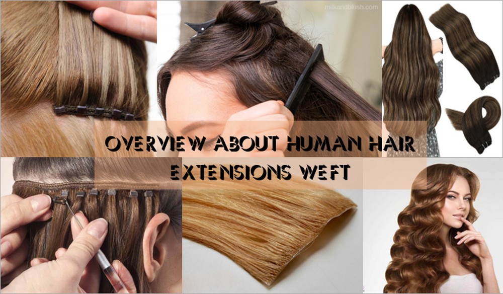 Human Hair Extensions Weft 3 1