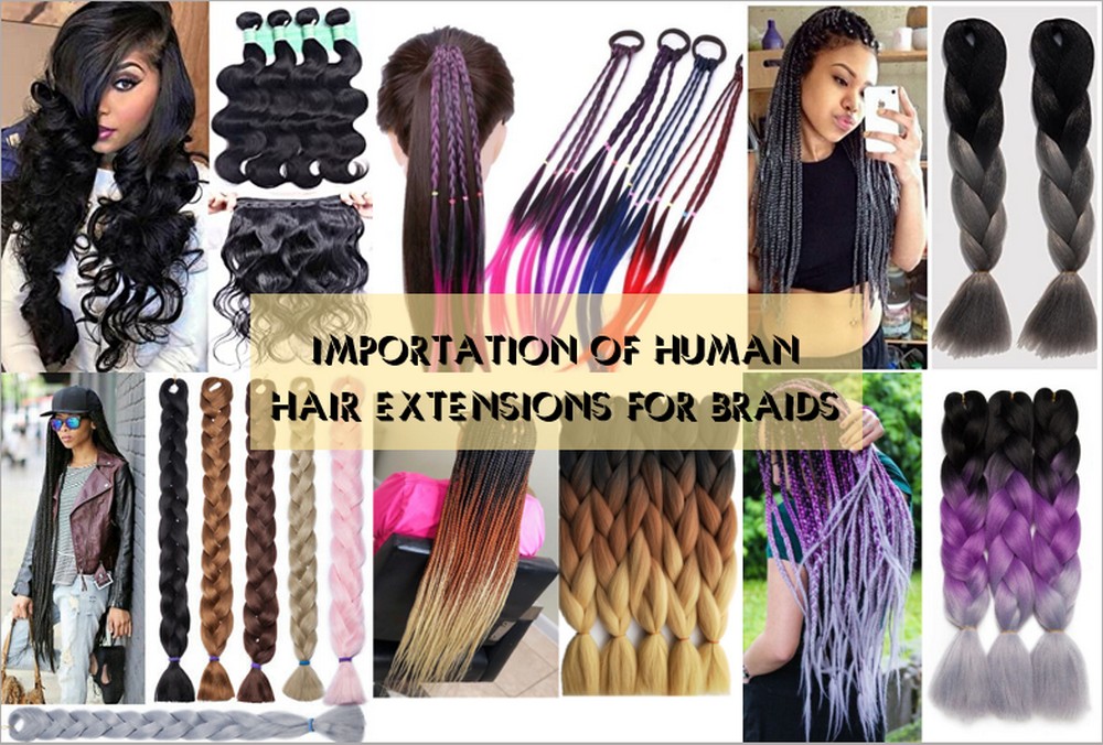 Human hair extensions for braids 9