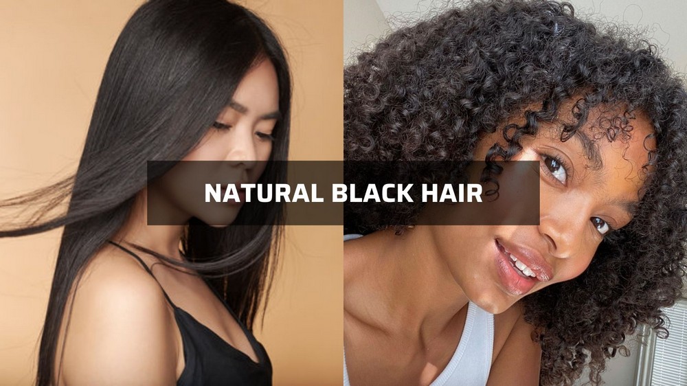 best-hair-moisturizer-for-black-hair-natural-black-hair