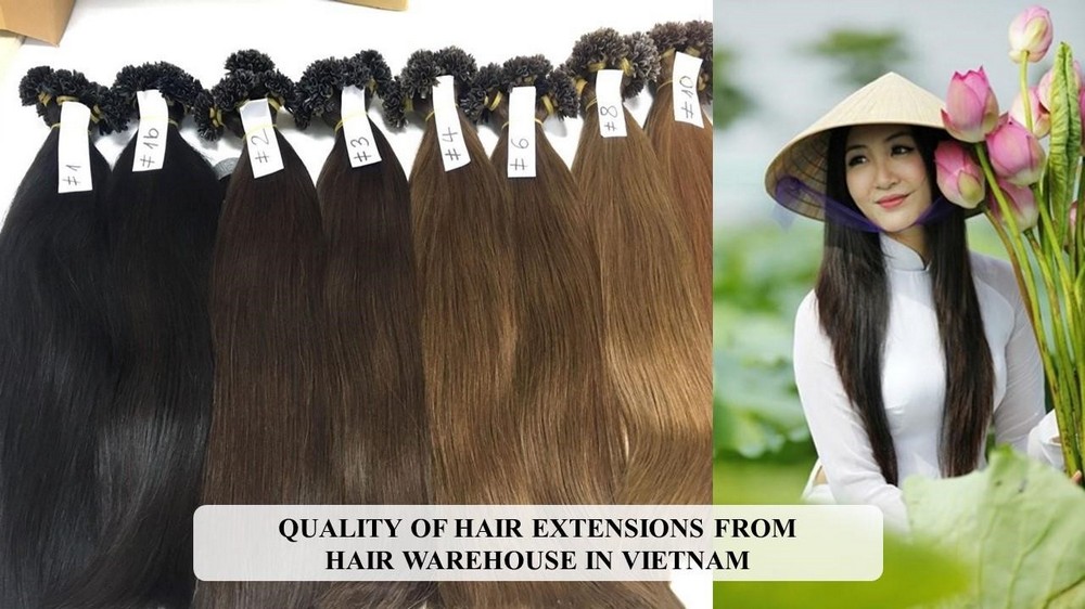 hair-from-hair-warehouse-in-Vietnam