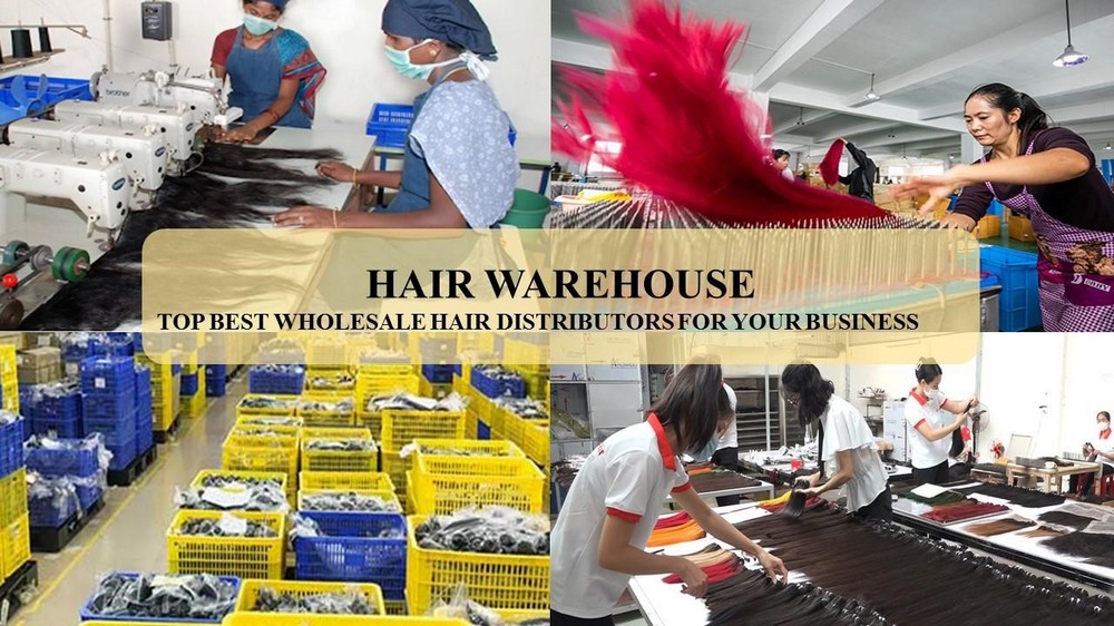 hair warehouse best distributors