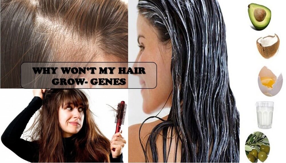 why-won't-my-hair-grow-6
