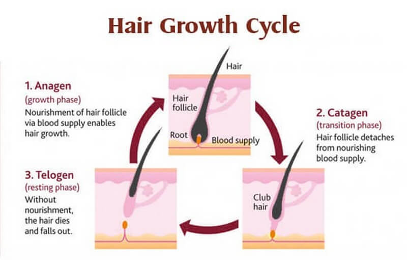 How-to-grow-hair-faster-for-women_2