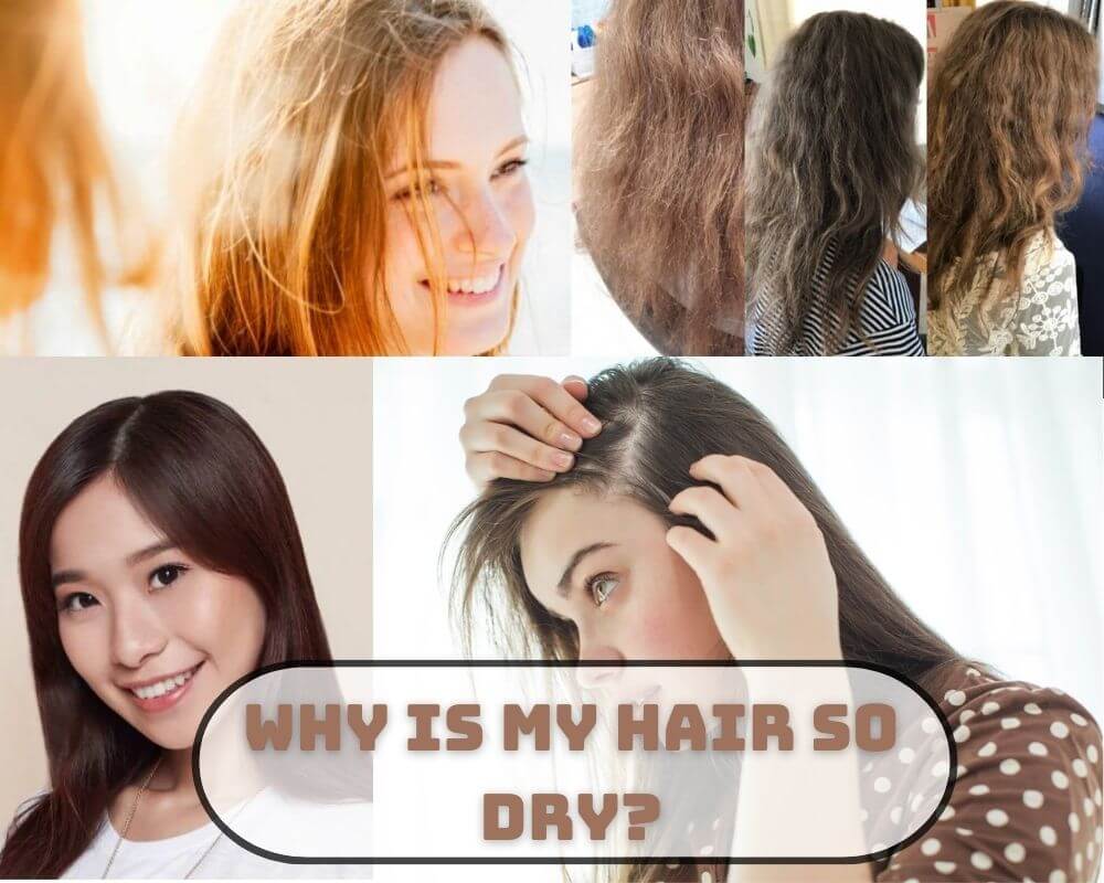 Dry Hair Tips: What Causes Dry Hair & How to Fix it | Biolage
