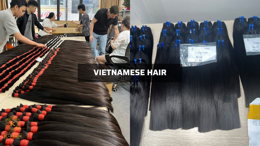 Cambodian hair vs Vietnamese hair – Vietnamese hair 1