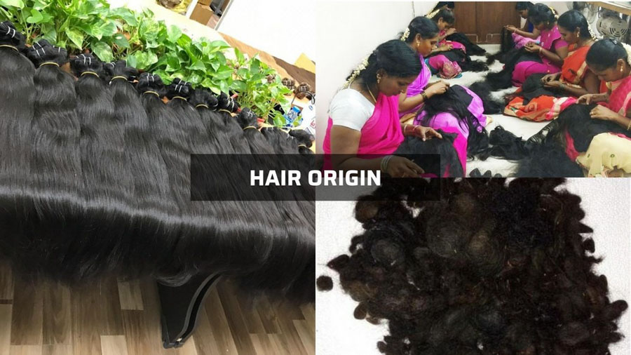 Origin of Vietnam and Indian hair