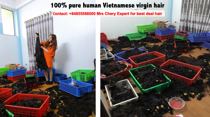Raw hair made in Vietnam vendors