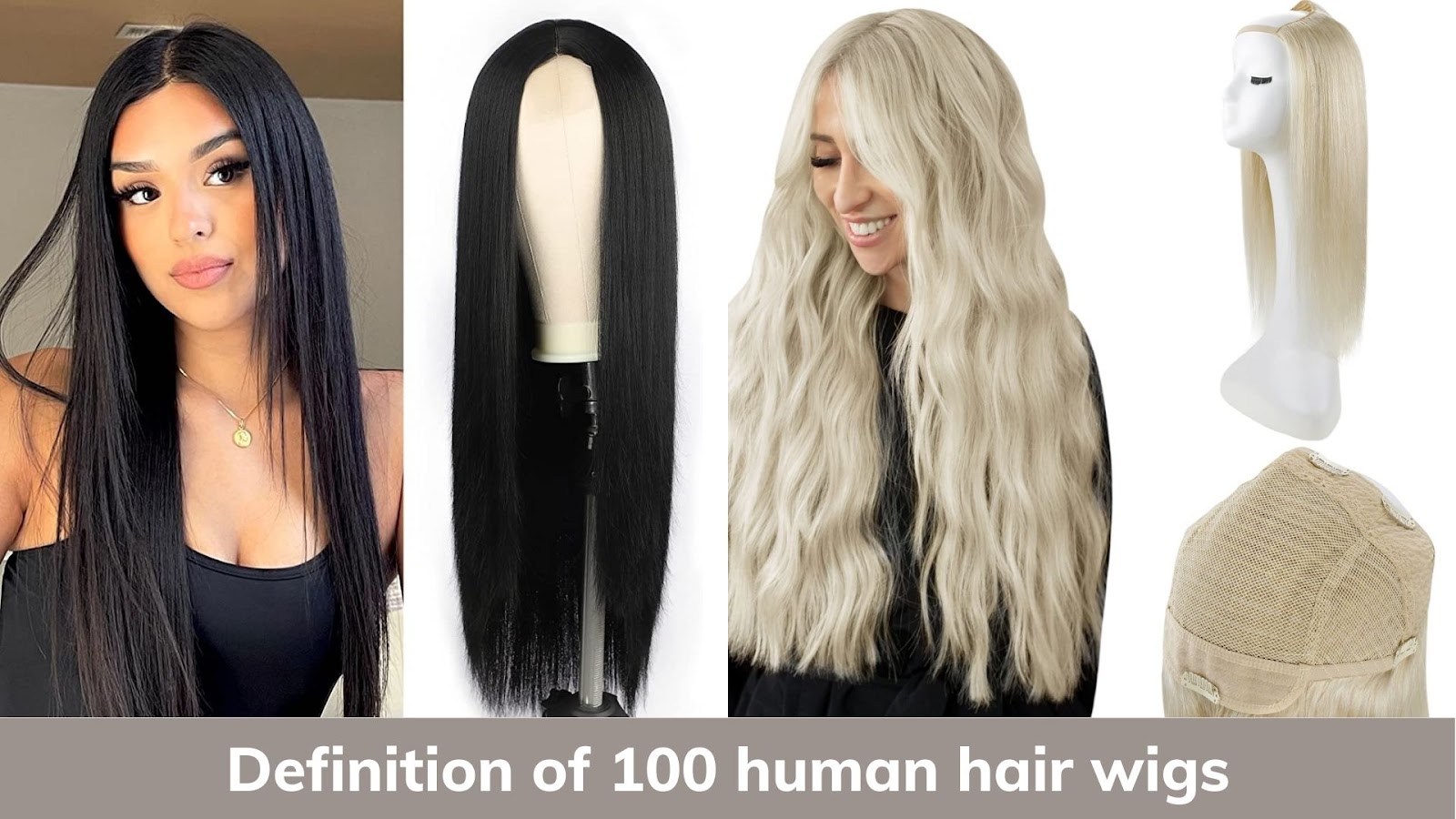 Definition of 100 human hair wigs