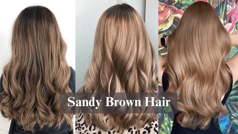 Sandy Brown Hair 2