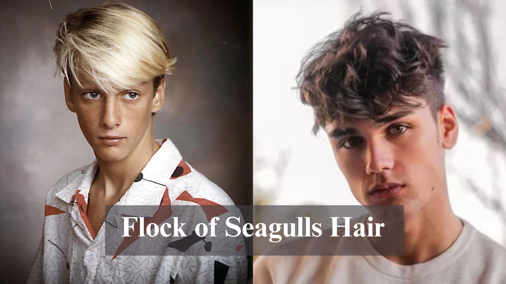 flock-of-seagulls-hair