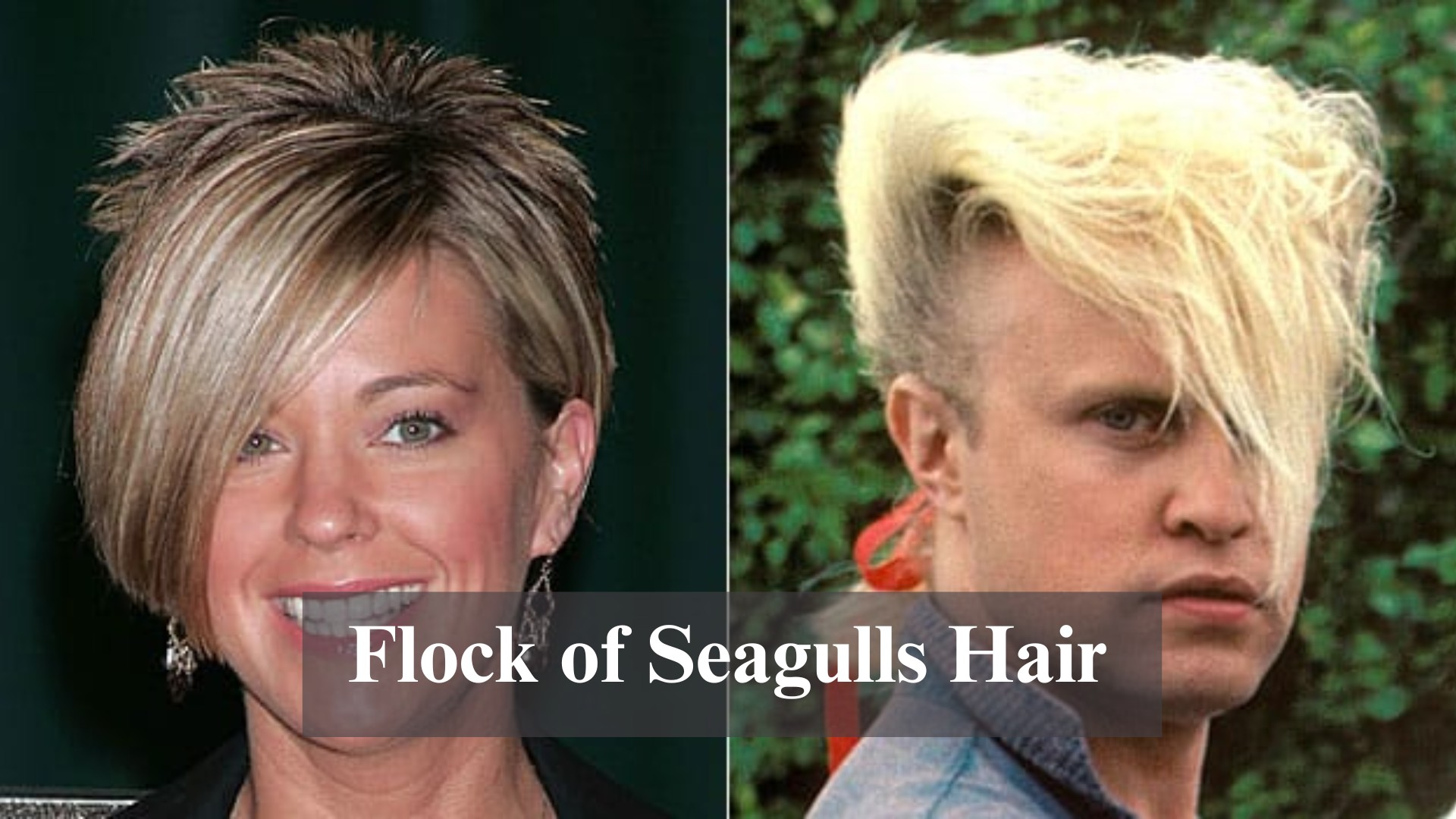 flock-of-seagulls-hair