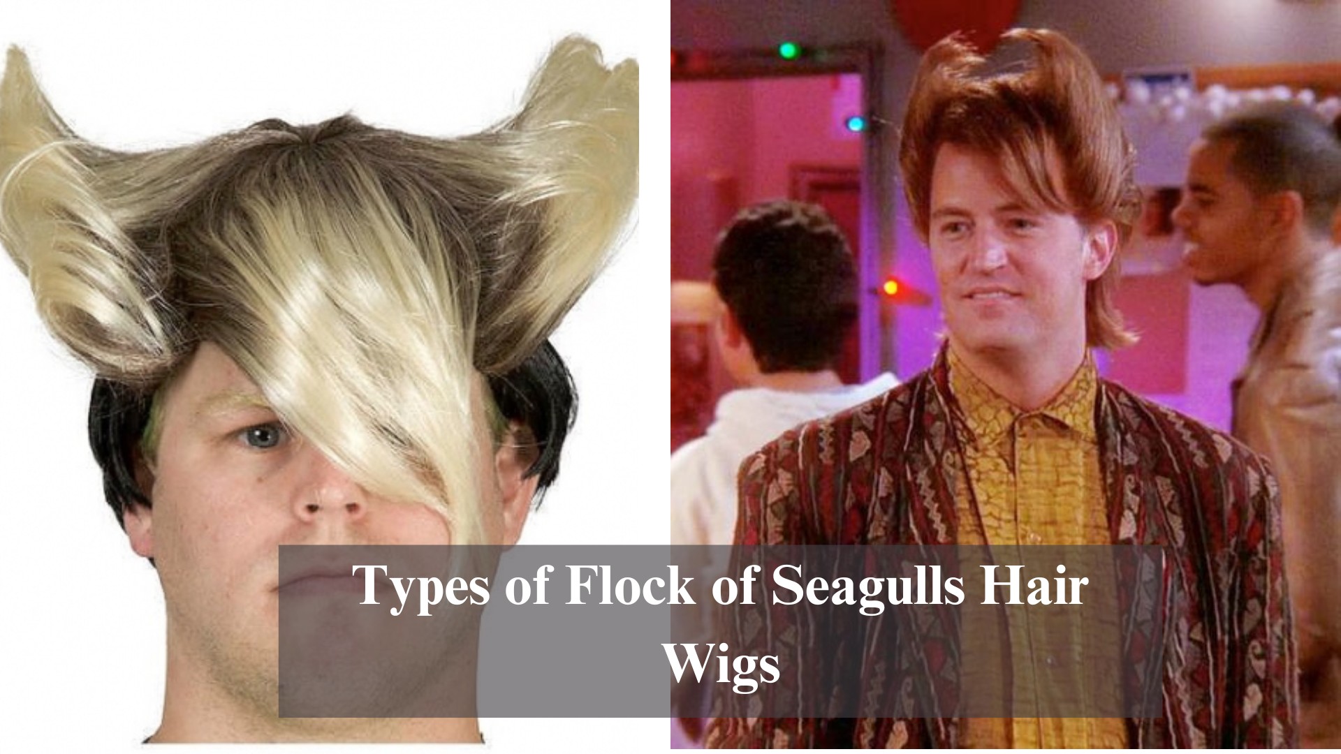 types-of-flock-of-seagulls-hair-wigs