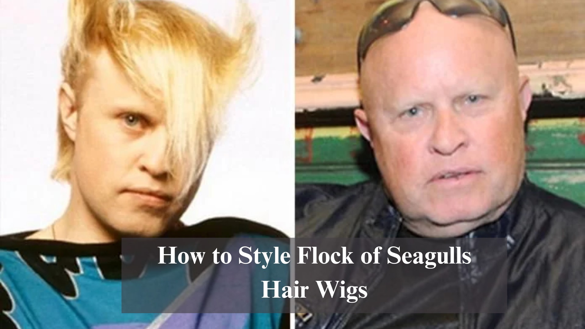 style-flock-of-seagulls-hair-wigs