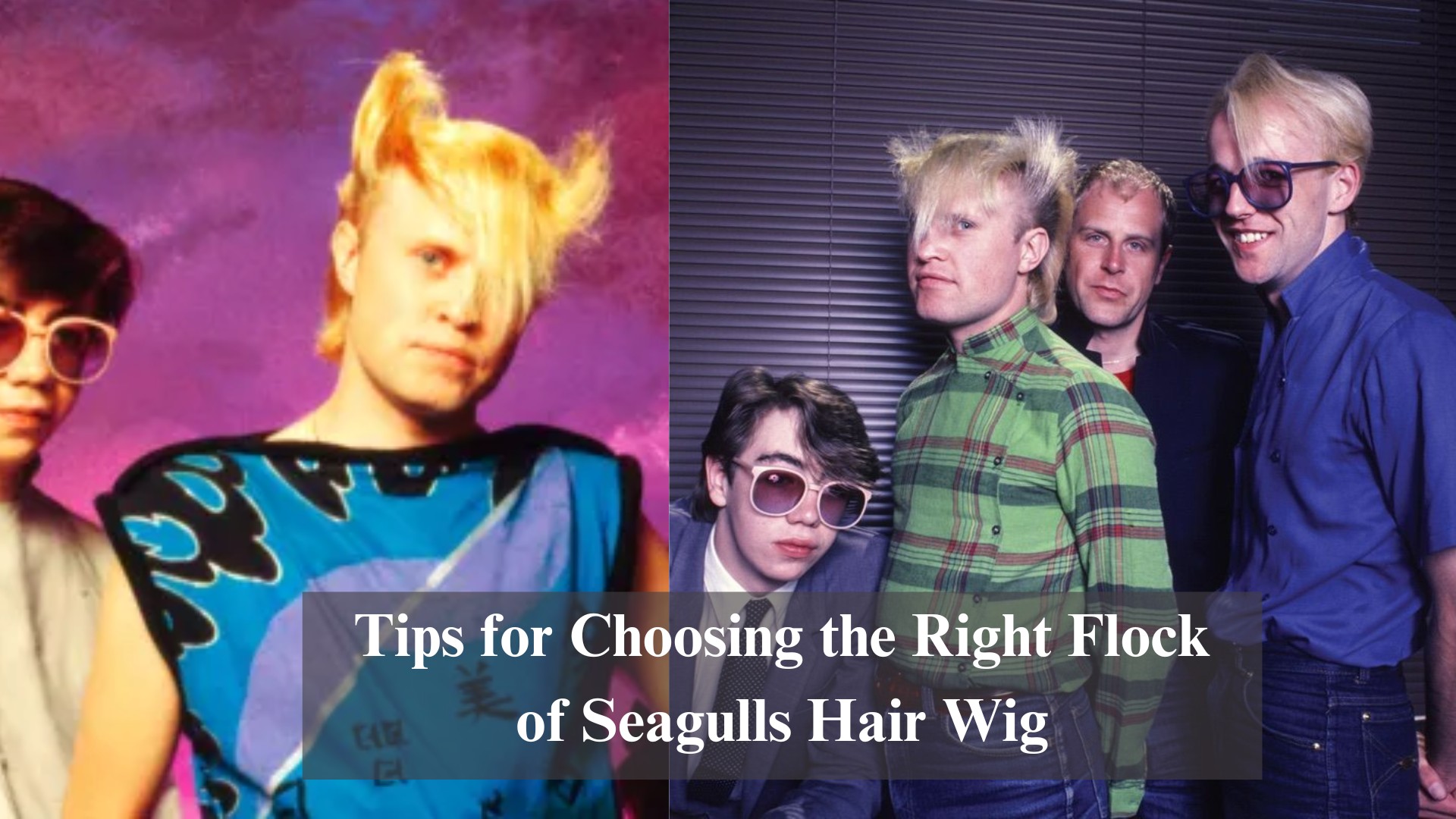 tip-for-choosing-the-righ-flock-of-seagulls-hair-wig