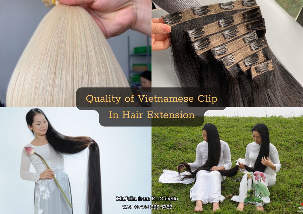 Quality of Vietnamese Clip In Hair Extension